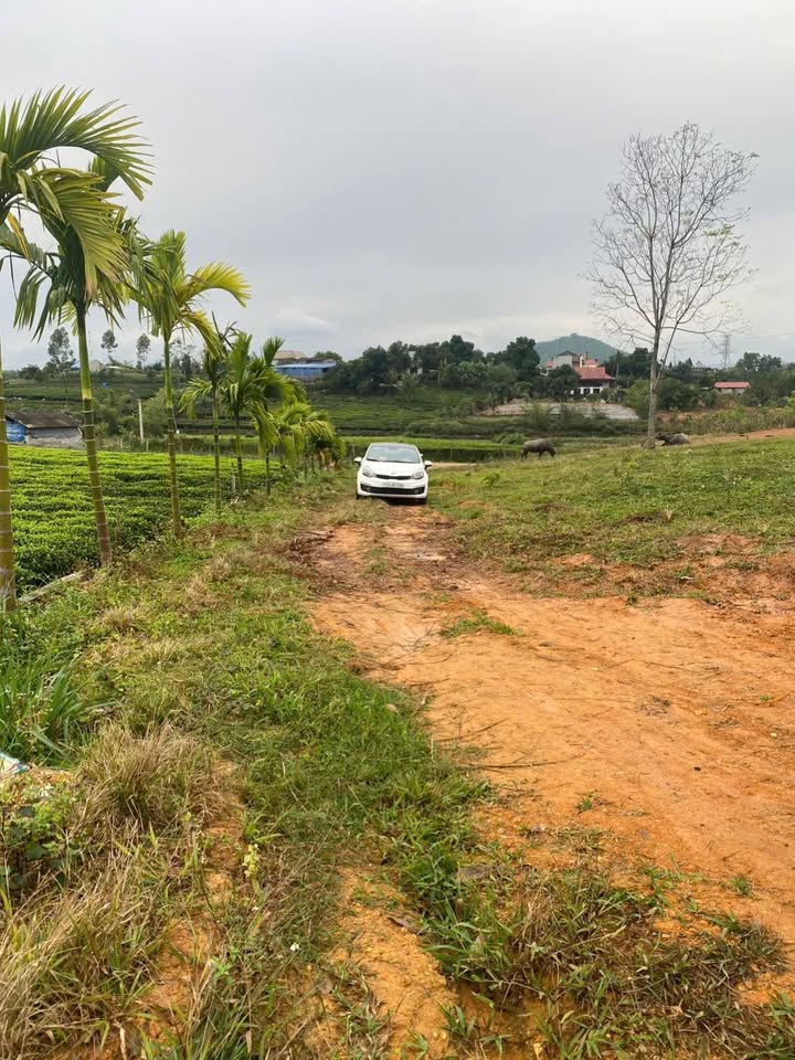 Đất thổ cư Phúc Xuân Thái Nguyên 1797,2m² giá 7 tỷ - Đầu tư sinh lời lý tưởng!