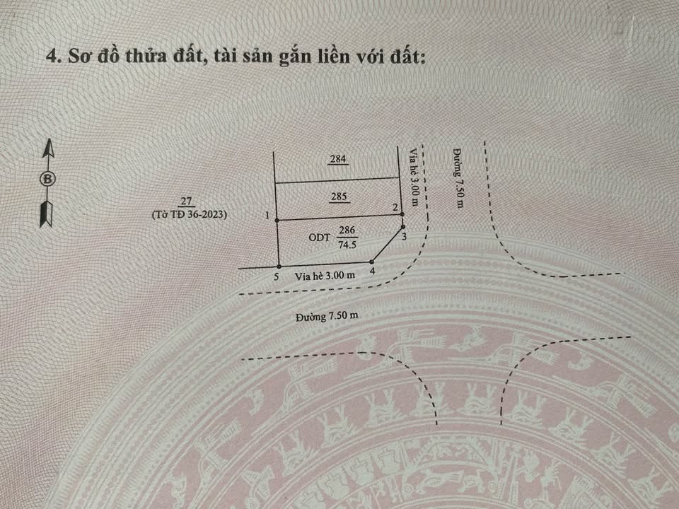Đất nền KDC Bắc Nguyễn Lương Bằng Hải Dương 142m² - Vị trí đắc địa, sẵn sàng đầu tư!