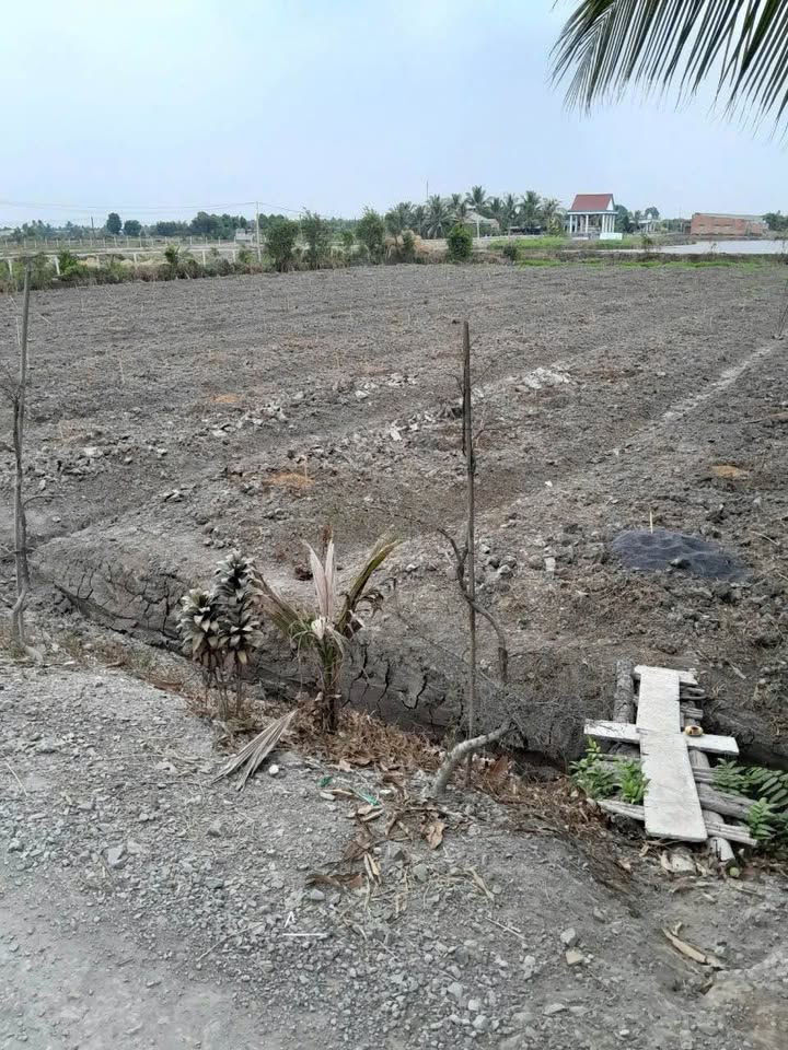 Đất Hòa Khánh Tây, Đức Hòa, Long An 1800m² giá 2 tỷ - Cơ hội đầu tư tuyệt vời!