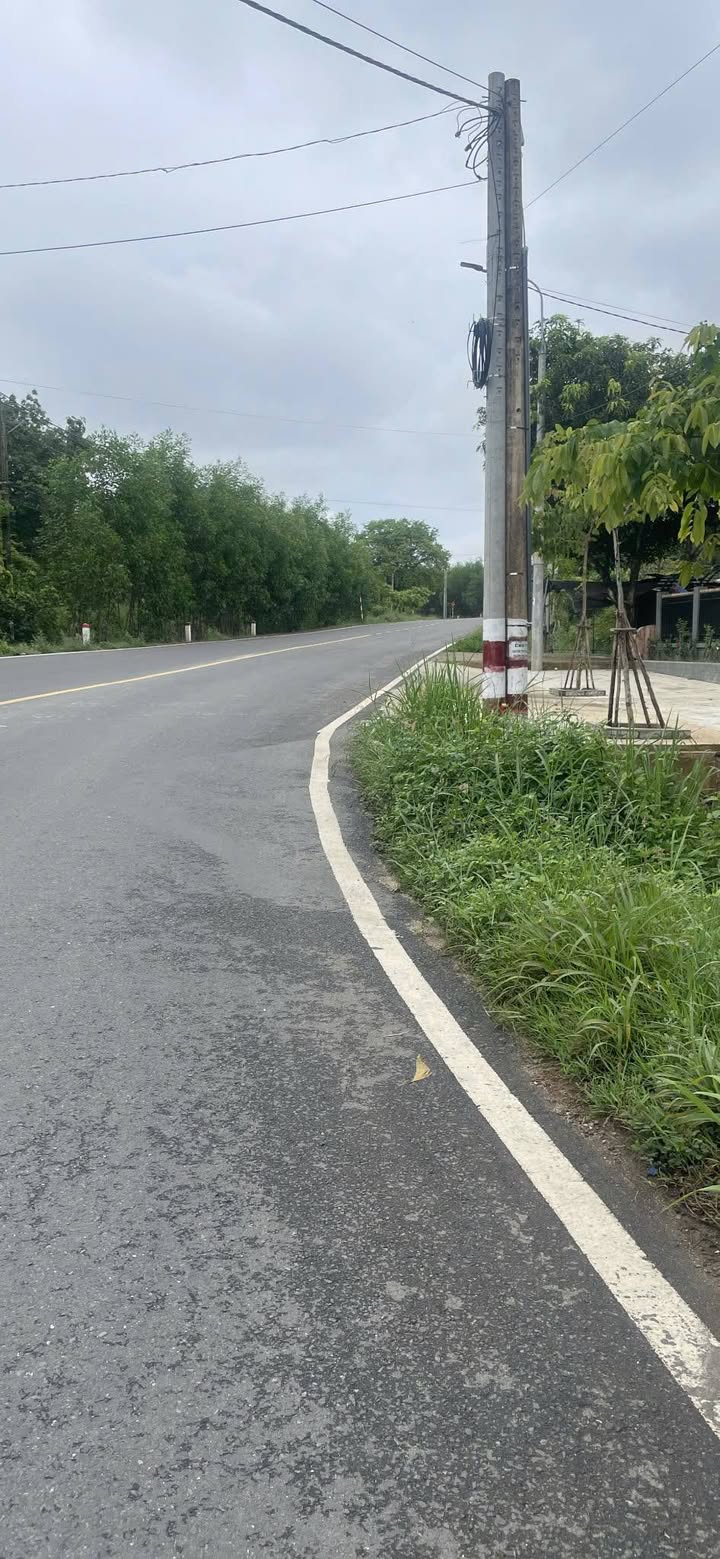 Đất nền mặt tiền 768 xã Trị An 1000m² giá 1.45 tỷ - Cơ hội đầu tư hấp dẫn!