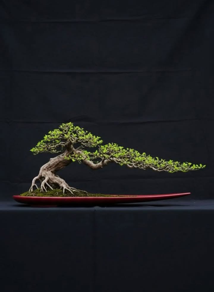 Đất nền mặt tiền Quốc lộ 1A, Quy Nhơn 697m² giá 3 tỷ - Cơ hội đầu tư hấp dẫn!