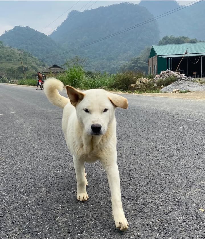 Nhà 2 tầng 150m² tại Phường Thống Nhất giá 800 triệu - Đường ô tô tránh nhau!