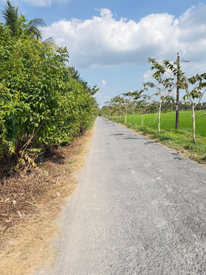 Đất nền Hòa Thạnh, Vĩnh Long 983m² giá 950 triệu - Thích hợp nghỉ dưỡng