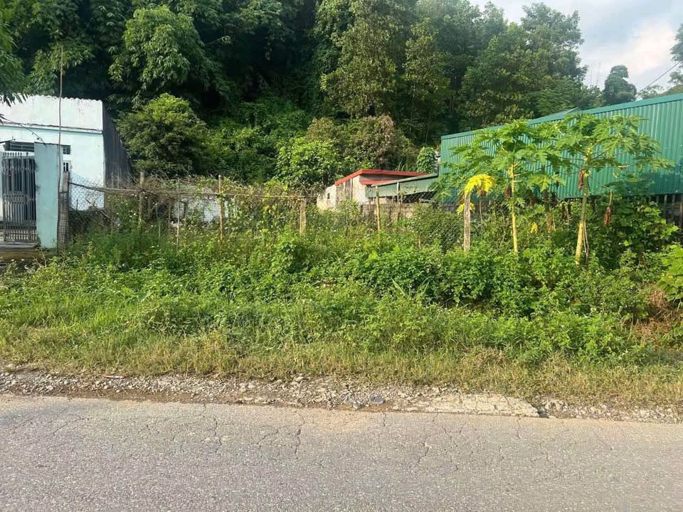 Đất nền đẹp 165m² tại Thu Phong, Cao Phong - Giá chỉ 1 tỷ, mặt tiền QL 12B!