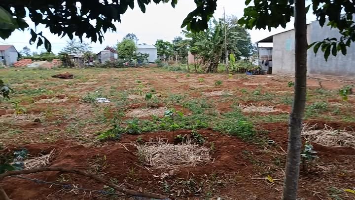 Đất nền tại Chư Păh, Gia Lai 748m² - Mặt tiền 17m, giá thỏa thuận!