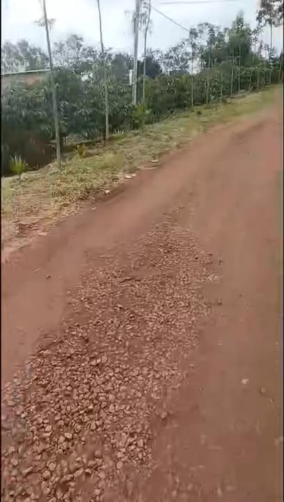 Đất nông nghiệp Cư Dliê M'Nông 8000m² giá 2.2 tỷ - Đầu tư sinh lời ngay!