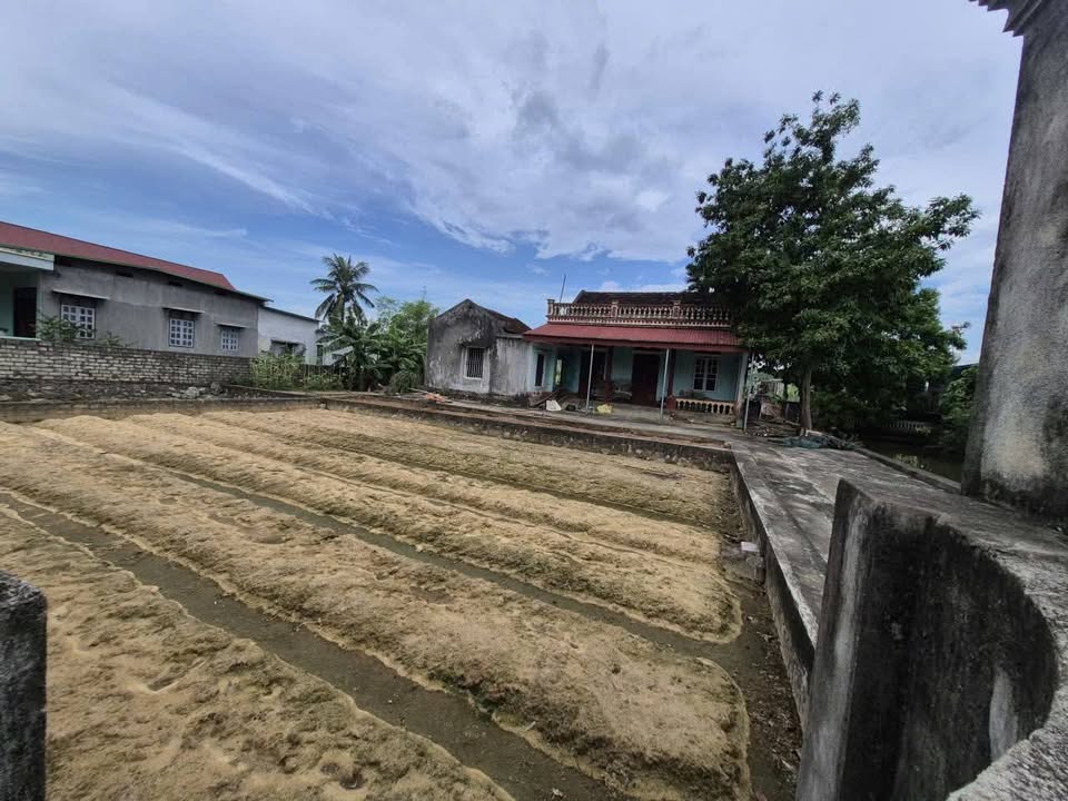 Đất thổ cư 1.060m² tại tiểu khu Đông Hoà, Nông Cống - Cơ hội đầu tư tuyệt vời!