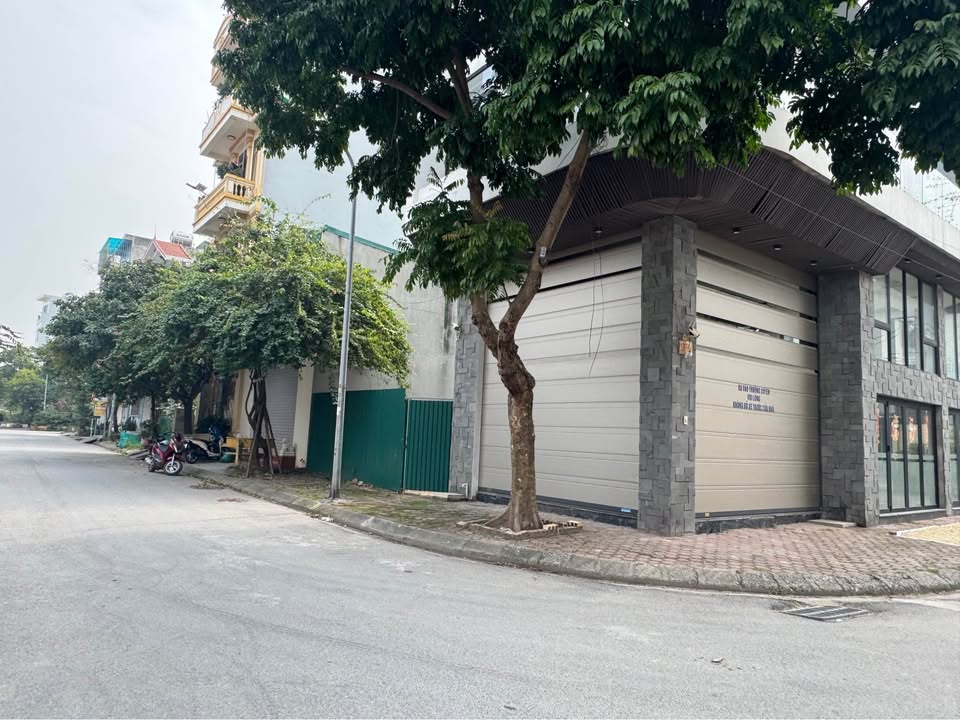 Đất đấu giá Việt Hưng 74m² giá 15 tỷ - Lô góc 2 mặt tiền, đầu tư sinh lời!