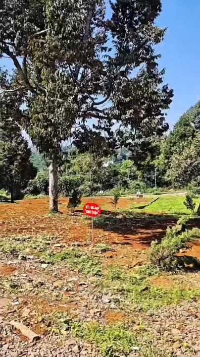 Đất Lộc An Bảo Lâm 100m² giá 500-600 triệu - Đầu tư sinh lời ngay!