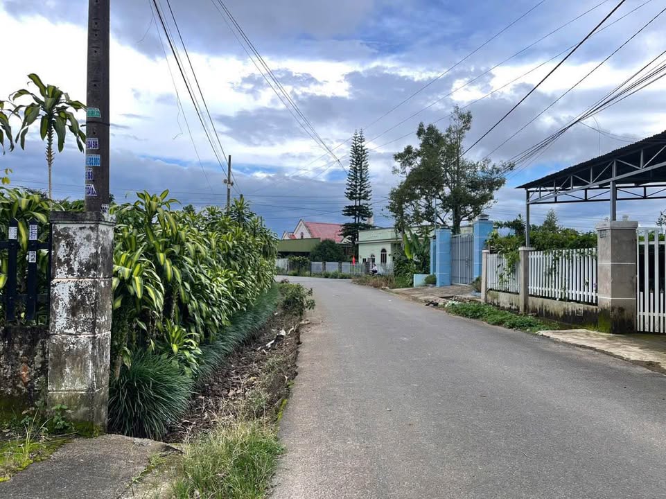 Nhà hẻm Phan Chu Trinh, Bảo Lộc 682m² giá 5.5 tỷ - Sân vườn rộng rãi, ô tô vào tận nơi!