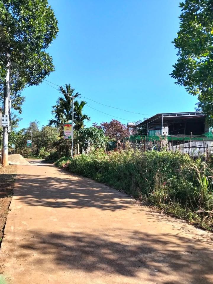 Đất nền xã Quảng Tín Đắk R'Lấp 20m² giá chỉ 750 triệu - Cơ hội đầu tư hấp dẫn!