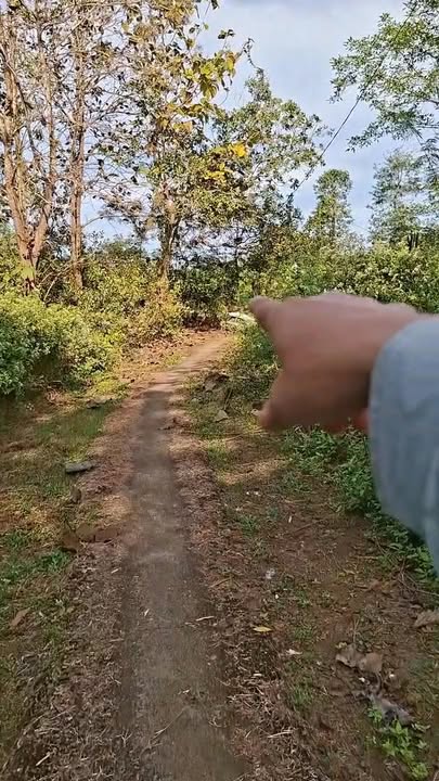 Đất nền ấp 5 Tà Lài 3600m² giá 295 triệu - Đầu tư sinh lời ngay!