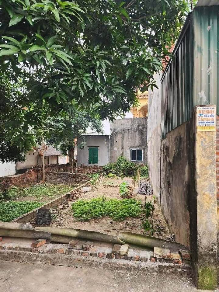 Đất nền Kiêu Kỵ 47.4m² giá 4.95 tỷ - Gần chợ, kinh doanh thuận lợi!