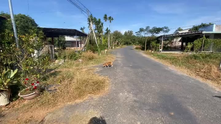 Đất nền Xóm Bố, Hiệp Thạnh, Tây Ninh 225m² giá 650 triệu - Đầu tư sinh lời ngay!