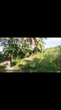 Đất Gò Dầu Tây Ninh 288m² chỉ từ 500 triệu - Cơ hội đầu tư hiếm có!