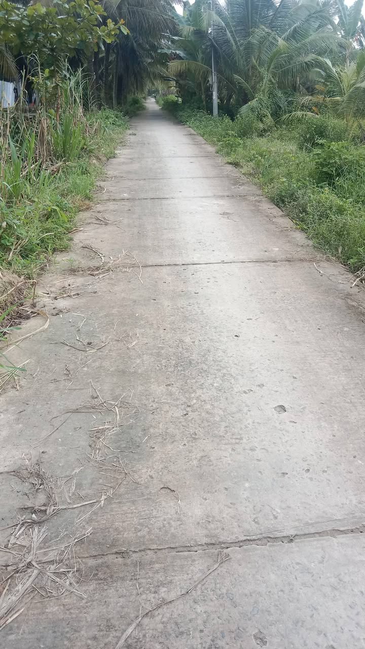 Đất mặt tiền 350m² xã Cầu Kè giá chỉ 220 triệu - Cơ hội đầu tư không thể bỏ lỡ!