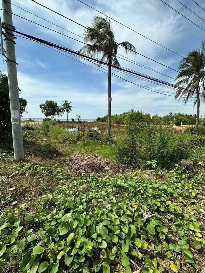 Đất mặt tiền QL80 Tô Châu, Hà Tiên 1869m² - Đầu tư sinh lời hấp dẫn!