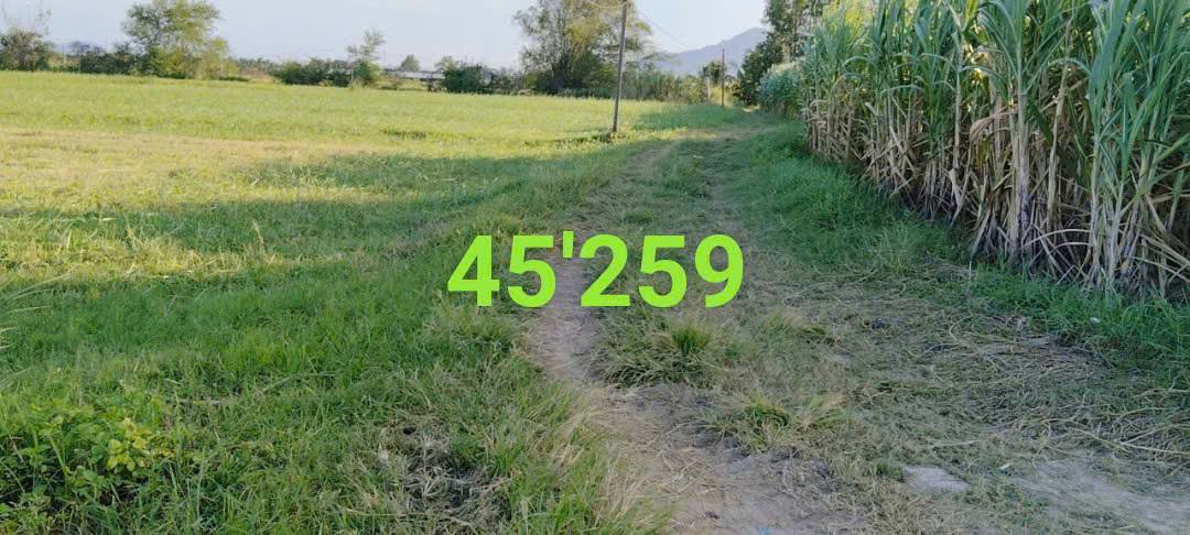 Đất nền Cam Thành Bắc 5913m² giá 2.129 tỷ - Đầu tư sinh lời ngay!