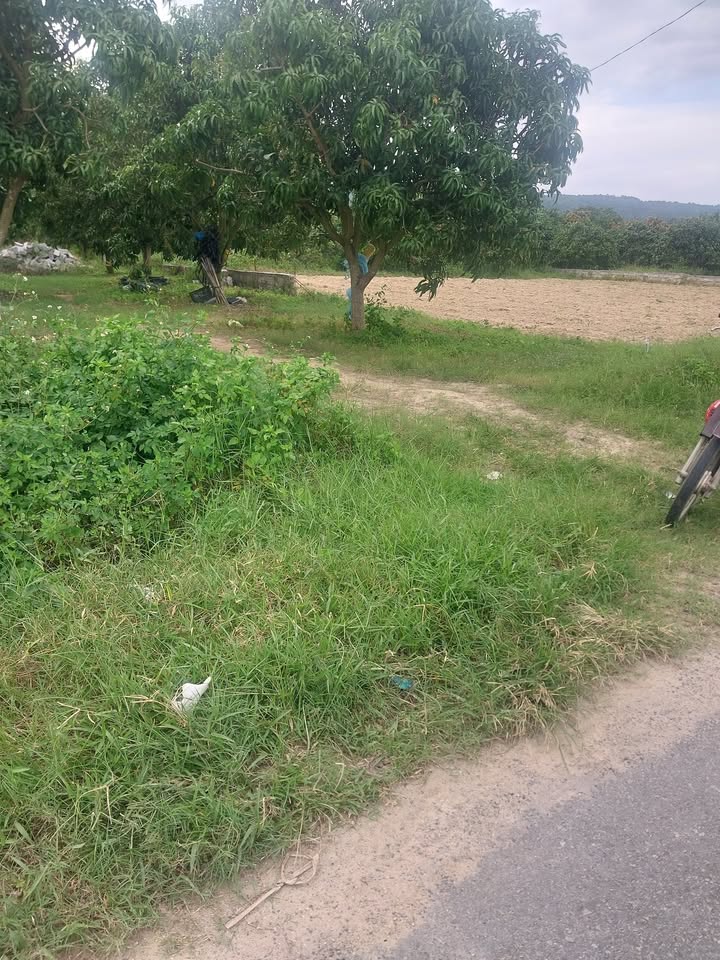 Đất nền Cam Hiệp Bắc 1110m² giá 2.1 tỷ - Mặt tiền đường Lập Định Suối Môn