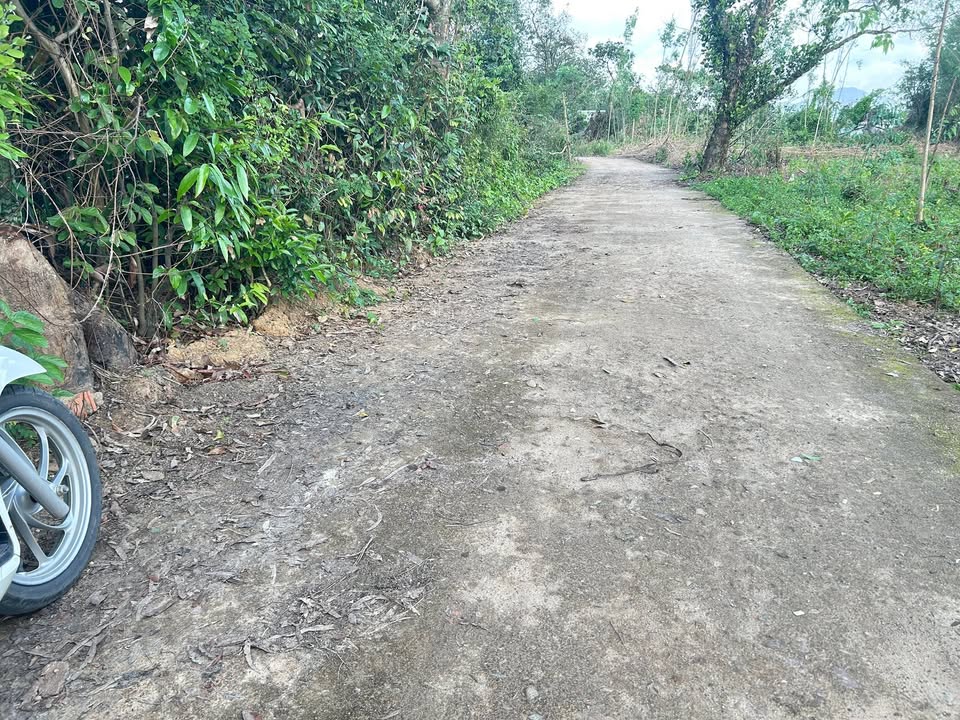 Đất nền thôn Thọ Lộc, Nhơn Thọ, An Nhơn 150m² giá chỉ 2 tỷ - Cơ hội đầu tư hấp dẫn!