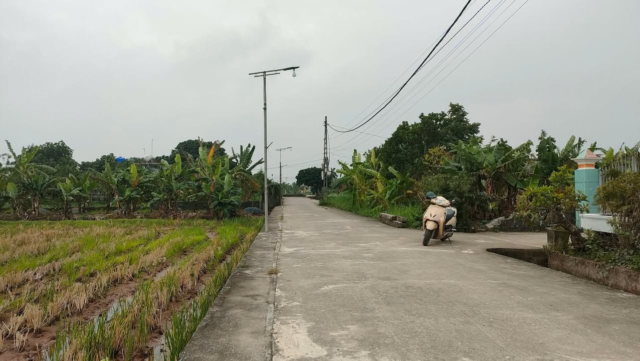Đất nền Bình Hòa Giao Thủy 1155m² giá 3 tỷ - Đường rộng ô tô tránh nhau!