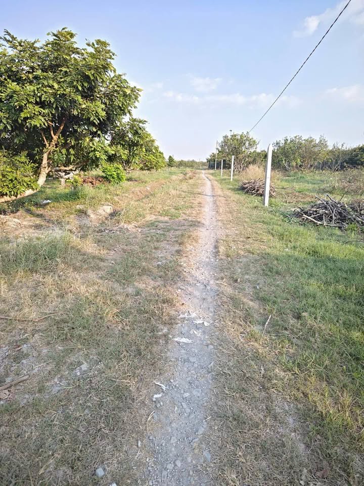 Đất Hẻm 16 Nguyễn Lương Bằng, Hòa Thành, Tây Ninh 250m² - Ô tô tới đất, giá chỉ 270 triệu!