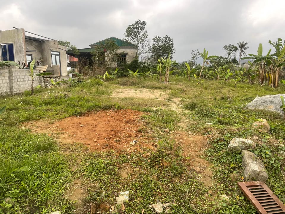 Đất nền Nghi Xuân 454m² giá 2.27 tỷ - Đường rộng thông thoáng, khu dân cư đông đúc!