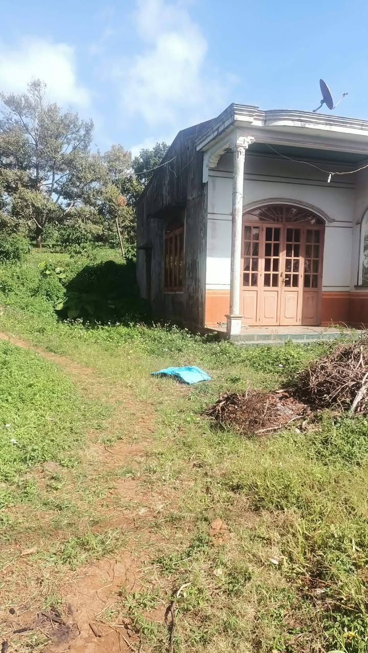 Bán đất vườn + Nhà mặt đường nhựa liên thôn 46000m² - Đầu tư sinh lời ngay!