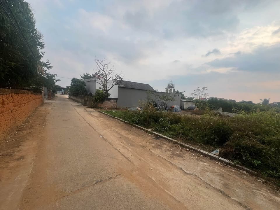 Đất nền 174m² tại xã Chu Điện - Mặt tiền 7m, tiềm năng kinh doanh lớn!