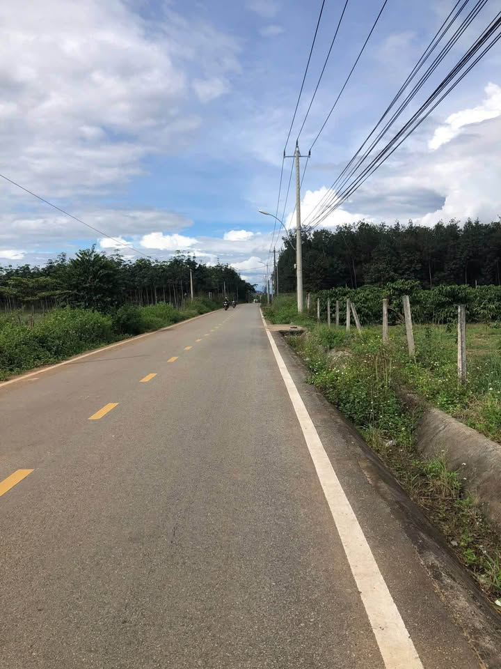 Đất thổ cư đường nhựa thôn Ya Hội, xã Đăk Năng, Kon Tum 1.000m² giá 800 triệu - Đầu tư sinh lời!