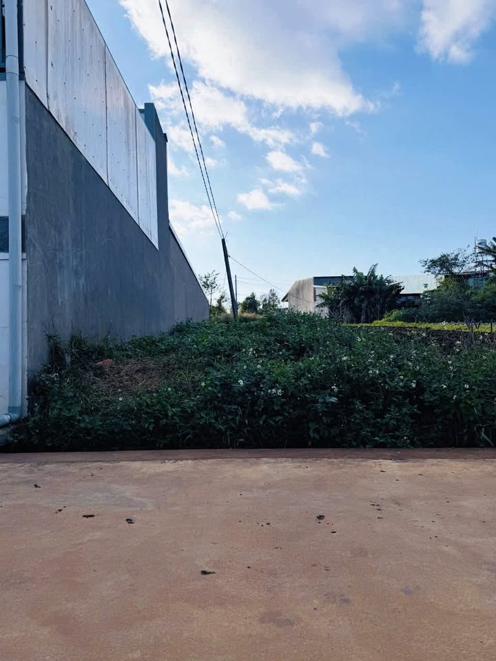 Đất thổ cư hẻm 719 Trường Chinh, Hội Phú 160m² giá 600 triệu - Cơ hội đầu tư tuyệt vời!