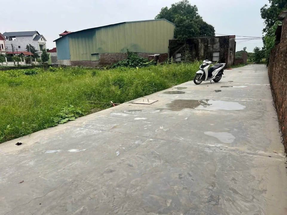 Đất nền tại tổ dân phố Bùi Xá, phường Ninh Xá, 78m² chỉ từ 1 tỷ - Cơ hội đầu tư hấp dẫn!