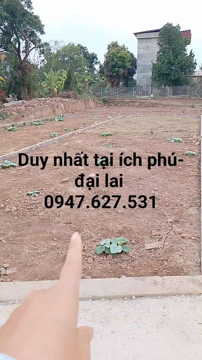 Đất nền Đại Lai, Gia Bình, Bắc Ninh 90.6m² giá 2.4 tỷ - Sổ đỏ chính chủ!