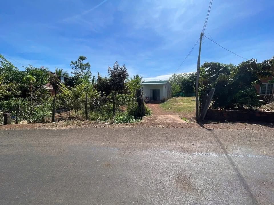 Farm 16.000m² tại Thanh Hòa, Bù Đốp giá 690 triệu - Cơ hội đầu tư tuyệt vời!