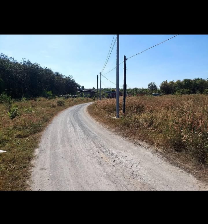 Đất nền Khu phố 2 Vĩnh Tân 335m² giá 1.6 tỷ - Đầu tư sinh lời hấp dẫn!