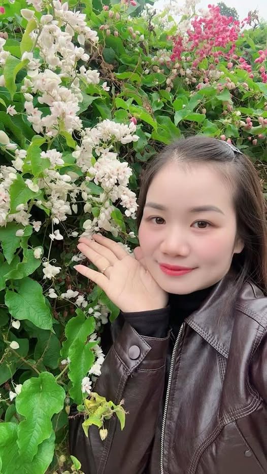 Đất nền Bảo Sơn Lục Nam 1000m² giá thỏa thuận - Tiềm năng đầu tư lớn!