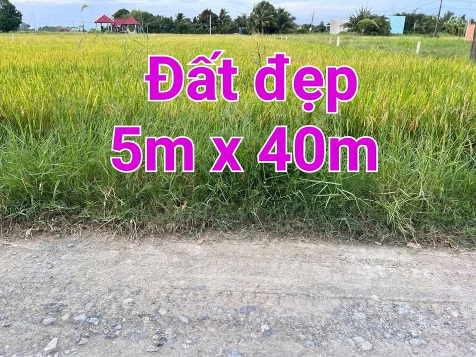 Đất nền Hòa Khánh Đông 200m² giá 970 triệu - Cơ hội đầu tư tuyệt vời!