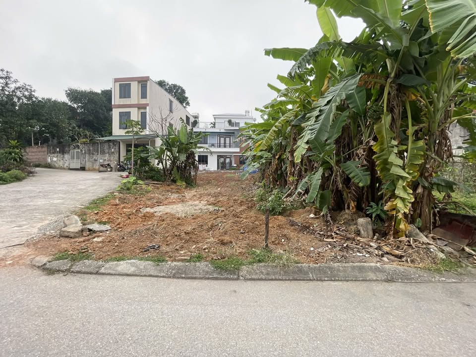 Đất Biệt Thự Khu Đô Thị Trằm Đá Việt Trì 275m² giá 6.873 tỷ - Ô góc hai mặt tiền đẹp