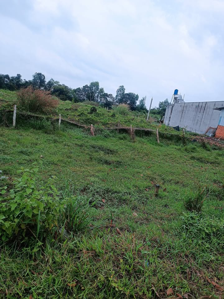 Đất vườn 125m² Mỹ Hạnh Bắc Đức Hòa Long An giá 1.55 tỷ - Cơ hội đầu tư hấp dẫn!