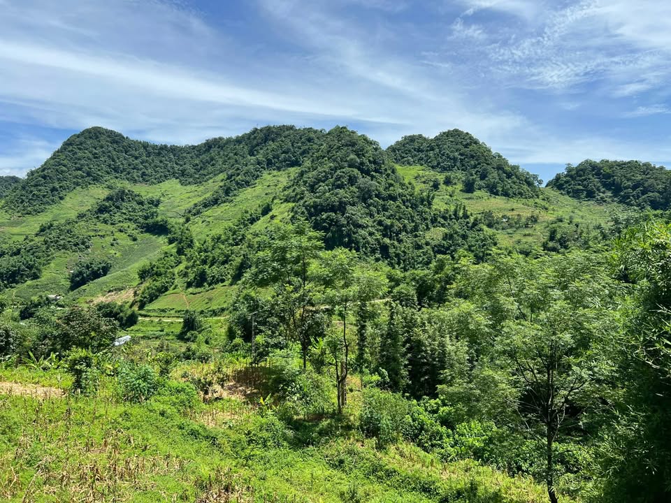 Đất 2 mặt tiền 5857m² xã Mai Châu - Phú Thọ, chỉ 10m ra đường tỉnh 432A - Cơ hội đầu tư tuyệt vời!