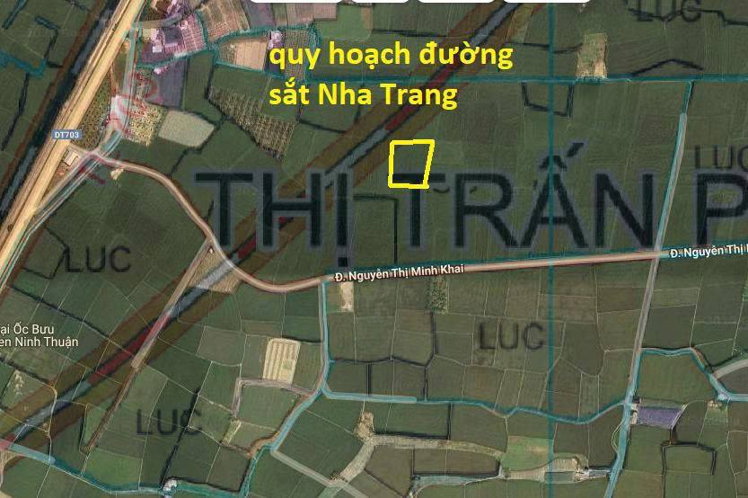 Đất lúa 2600m² tại Nguyễn Thị Minh Khai, Ninh Phước, Khánh Hòa - Bán gấp chỉ 600 triệu!