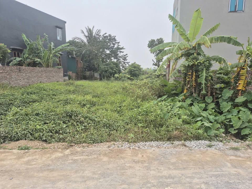 Đất nền Cẩm Xá, Mỹ Hào 100m² giá 2 tỷ - Sổ đỏ chính chủ, đầu tư sinh lời!