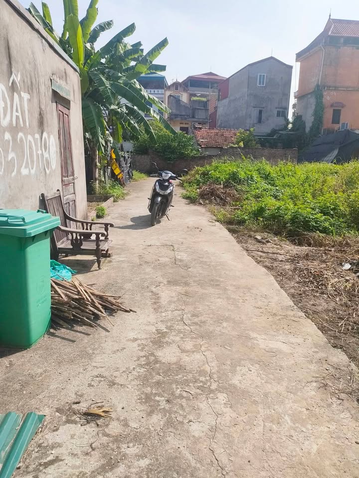 Đất Nền Ninh Sở Thường Tín 46m² giá 4.15 tỷ - Ngõ ô tô đỗ cửa, sổ đỏ vuông vắn!