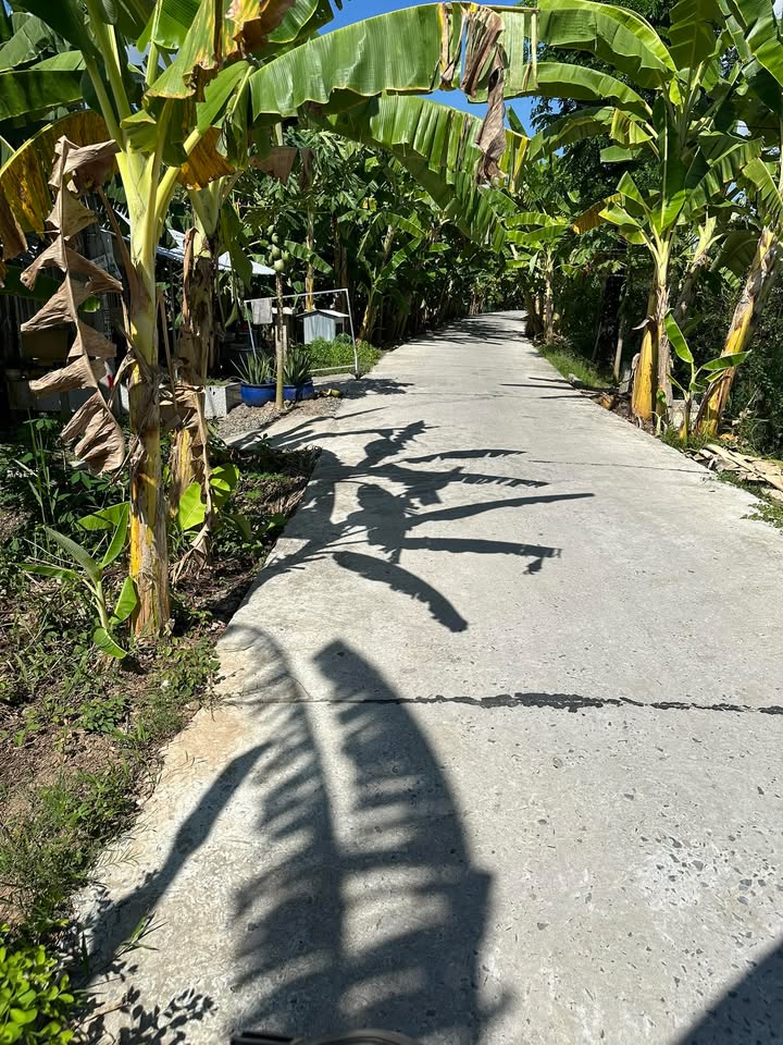 Đất nền Vĩnh Thới, Lai Vung 220m² giá 470 triệu - Cơ hội đầu tư tuyệt vời!