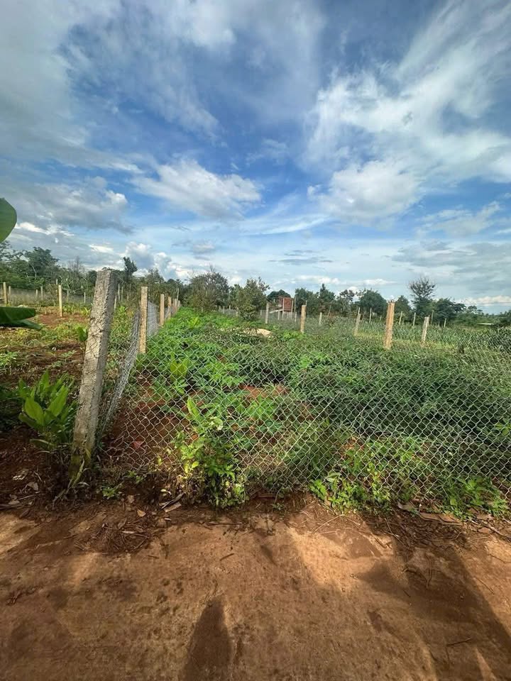 Đất nền Ea Drông Buôn Hồ 175m² giá thỏa thuận - Tiềm năng đầu tư hấp dẫn!