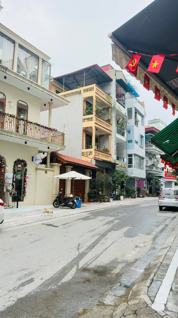 Đất nền Phú Thượng Tây Hồ 225m² giá 52 tỷ - Ô tô vào tận nơi, sổ đỏ chính chủ!