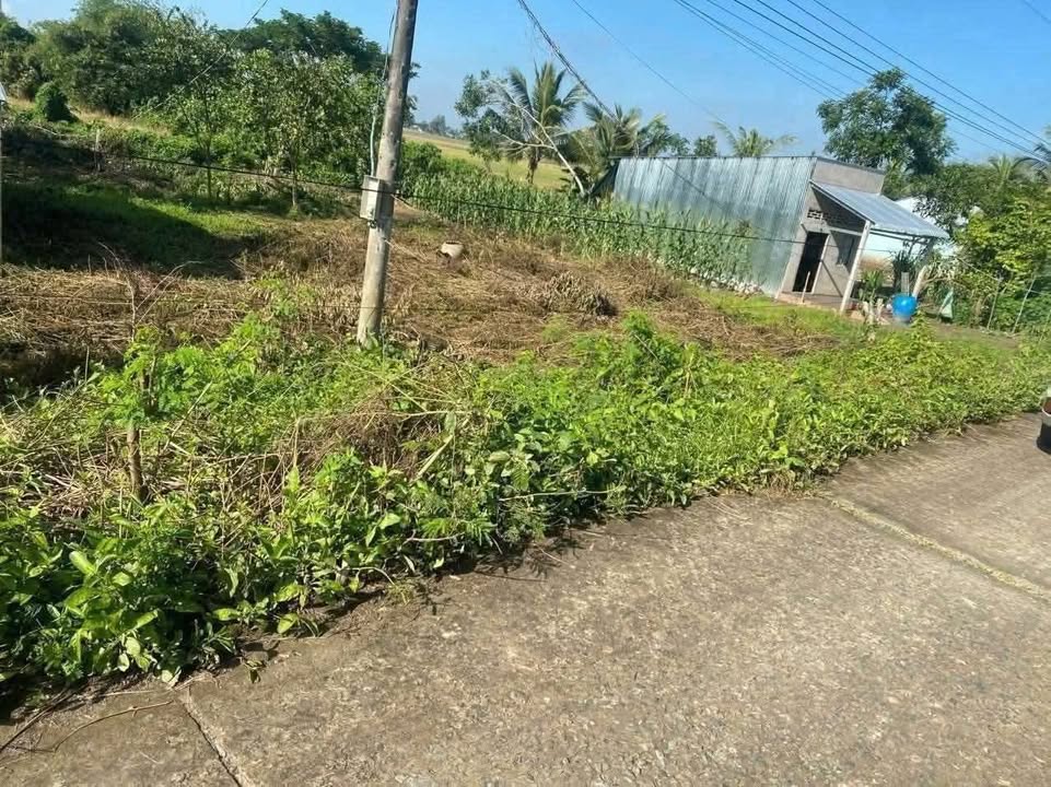 Đất nền mặt tiền ấp Bưng Chông, xã Tài Văn, 150m² giá 179 triệu - Cơ hội đầu tư lý tưởng!