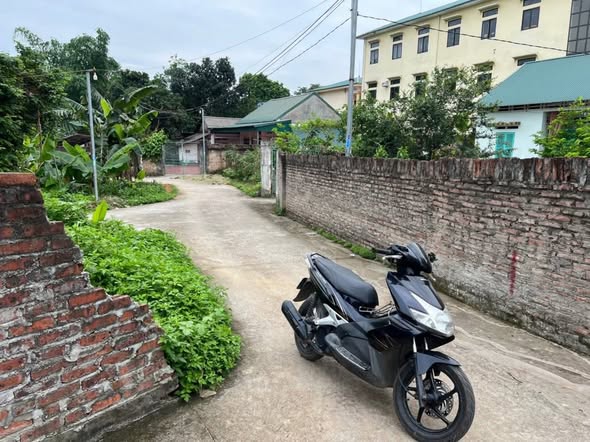 Đất nền Phú Thọ 145m² giá 550 triệu - Đầu tư sinh lời ngay!