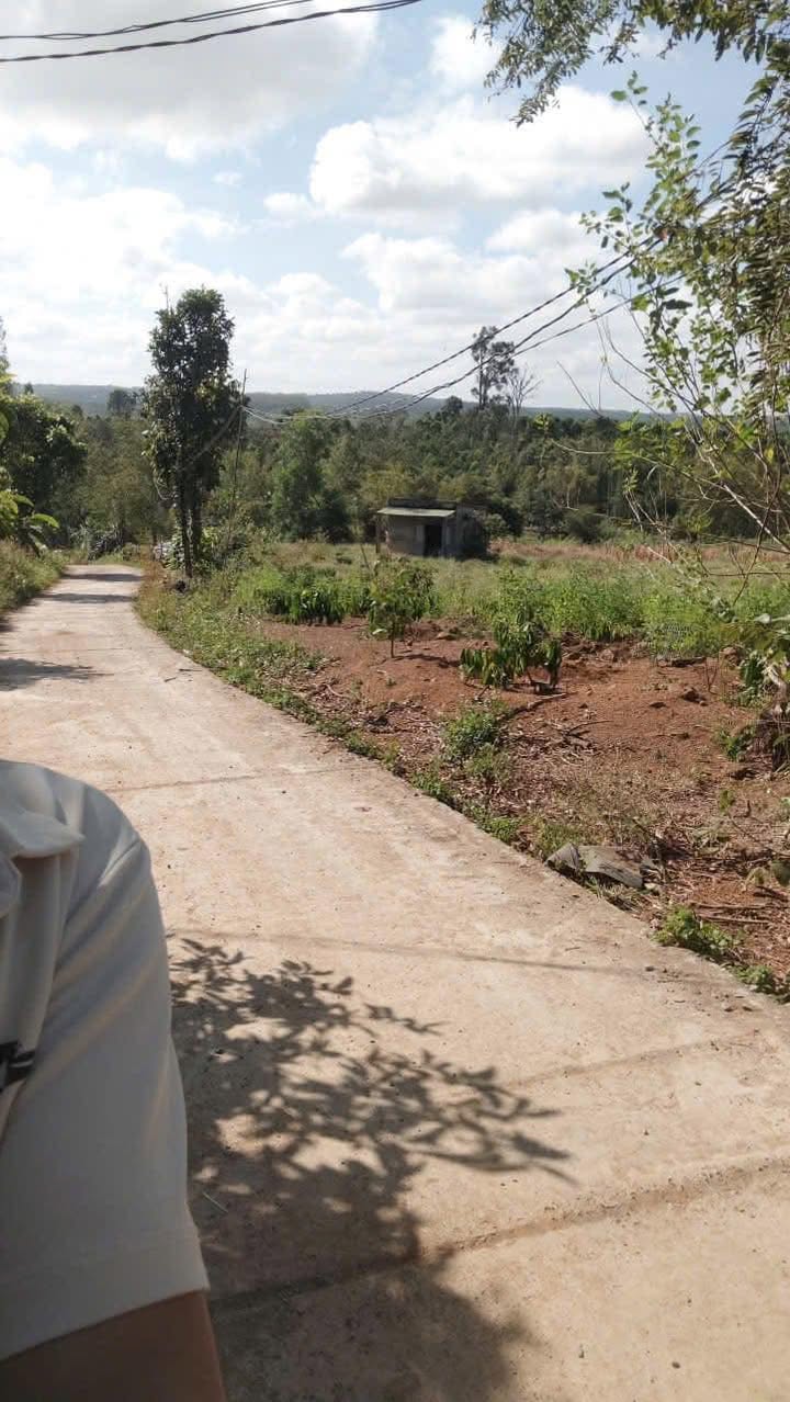 Đất Farm 1,1ha tại Ea Nam, Ea H'Leo - Giá 1,4 tỷ - Nhiều tiện ích hấp dẫn!