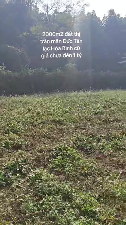 Đất thổ cư 2000m² tại thị trấn Mãn Đức, Tân Lạc, Hòa Bình - Chỉ 800 triệu!